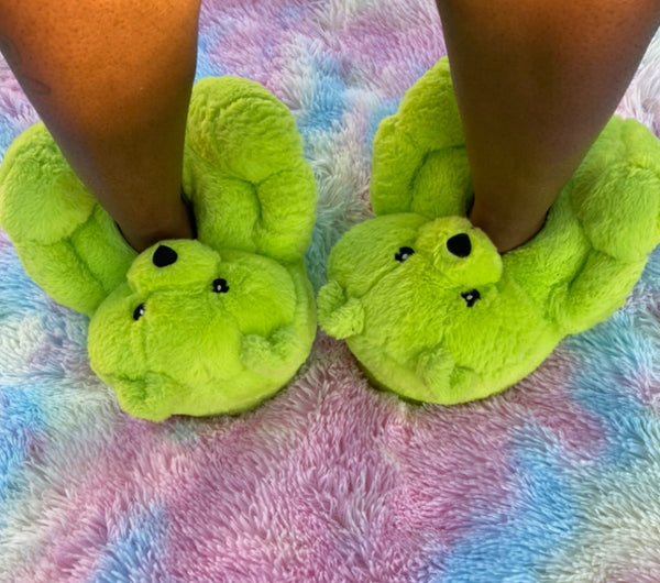 Women's Teddy Bear Home Plush Slippers (Green, Adult, Women, One Size, Alpha, US Footwear Size System, Medium)