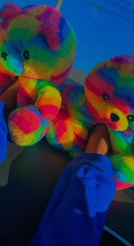 Teddy Bear Slippers Rainbow (Adult and Teen)
