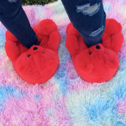 Children’s Teddy Bear Slippers Red (Kids)