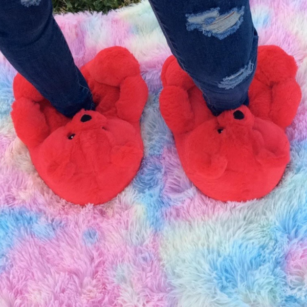 Teddy Bear Slippers Red Cute House Animal Slippers For Women Indoor Fuzzy Cartoon Care Bear Slippers Bedroom Slippers Women Birthday Christmas Holiday Gift Ideas For Teen Girls Women