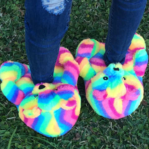 Children’s Teddy Bear Slippers Rainbow (Kids)